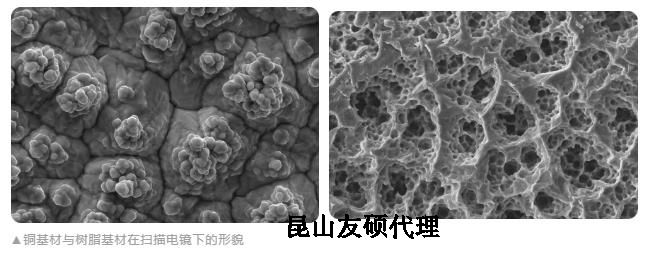 宁波蔡司宁波扫描电镜